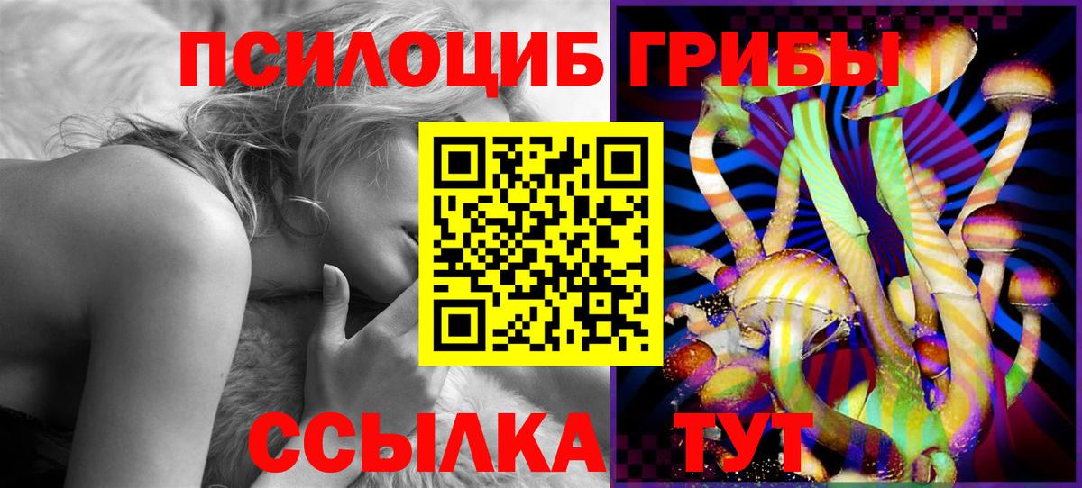 Галлюциногенные грибы Cubensis Симферополь