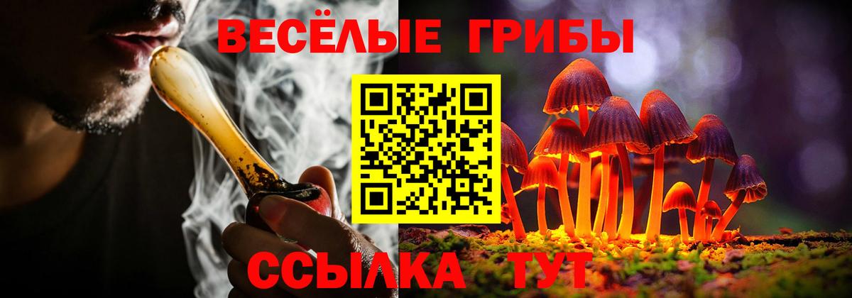 Псилоцибиновые грибы Psilocybine cubensis  Вход с VPN  Симферополь 